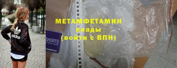 индика Новодвинск