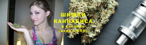 индика Новодвинск