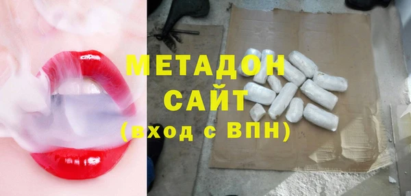 индика Новодвинск