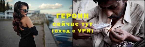 индика Новодвинск