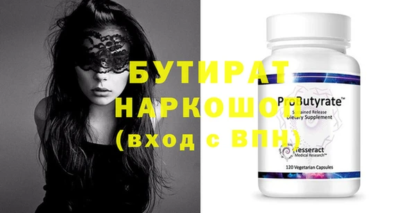 индика Новодвинск