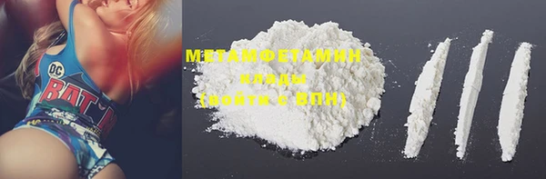 индика Новодвинск