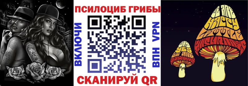 Псилоцибиновые грибы MAGIC MUSHROOMS даркнет сайт Усть-Катав